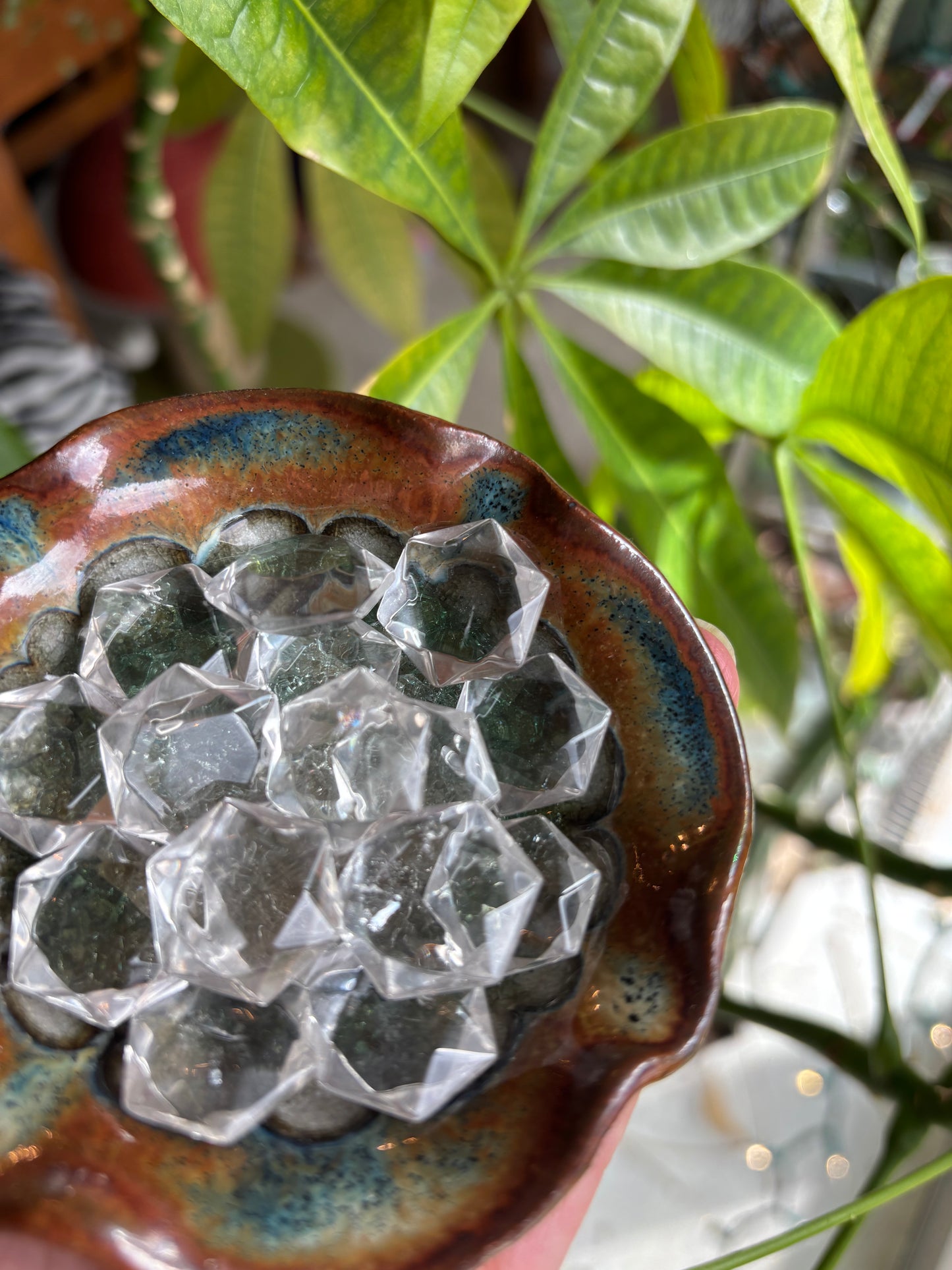 Lemurian Star - Top Grade - Brazil