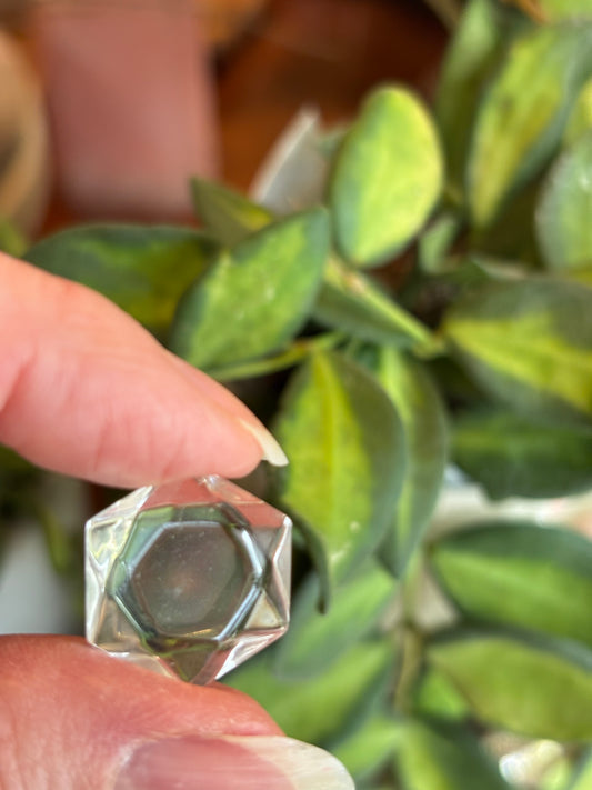 Lemurian Star - Top Grade - Brazil