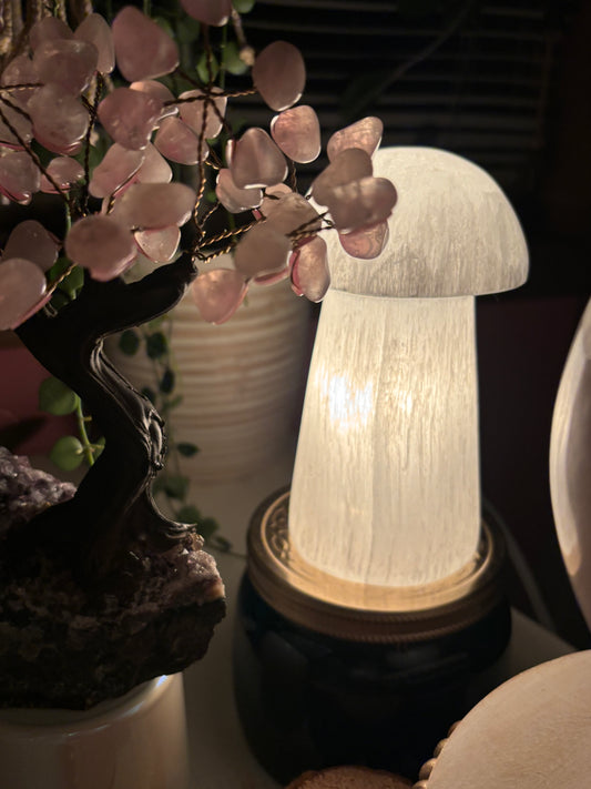 Selenite Mushroom - Lamp