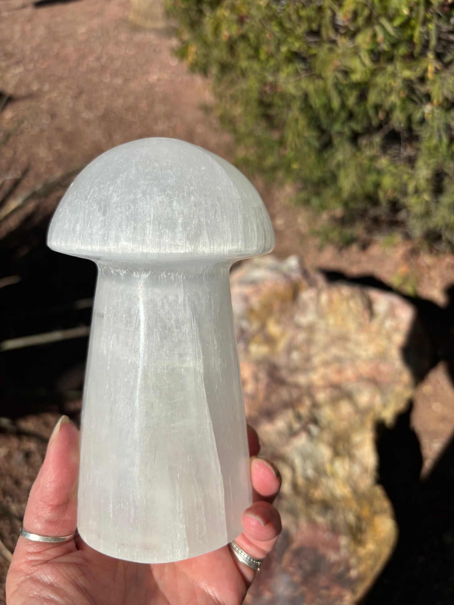 Selenite Mushroom - Lamp