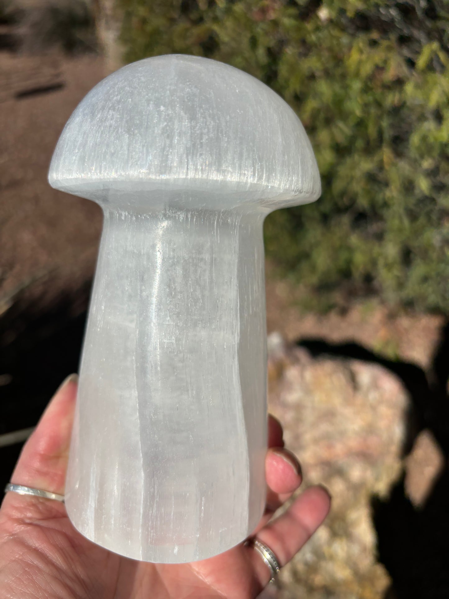 Selenite Mushroom - Lamp