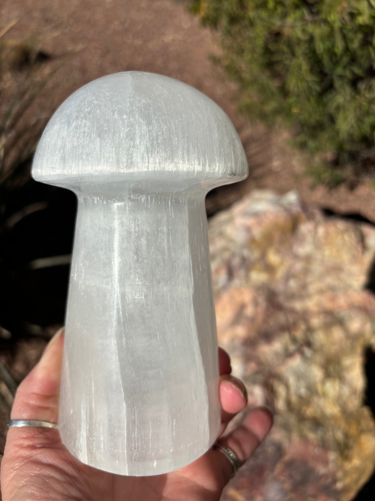 Selenite Mushroom - Lamp