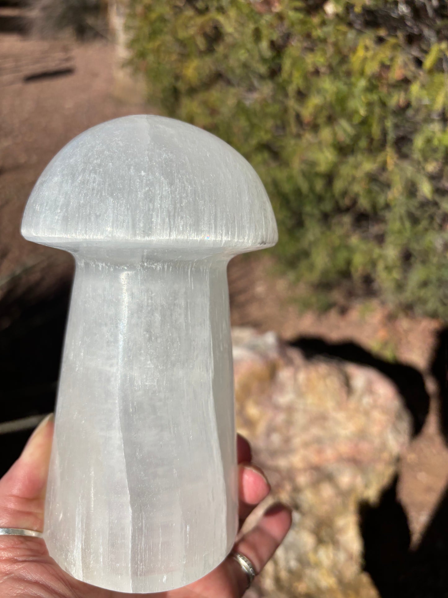 Selenite Mushroom - Lamp