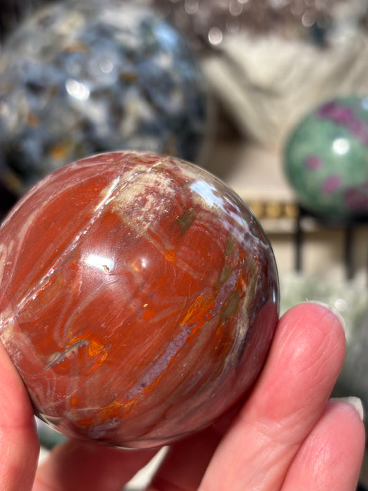Petrified Wood Sphere - Madagascar