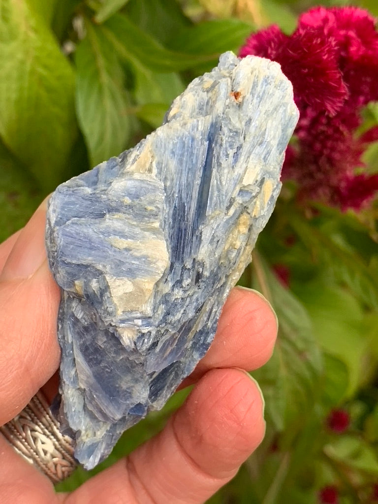 Blue Kyanite with Quartz and Garnet Inclusions natural - Brazil