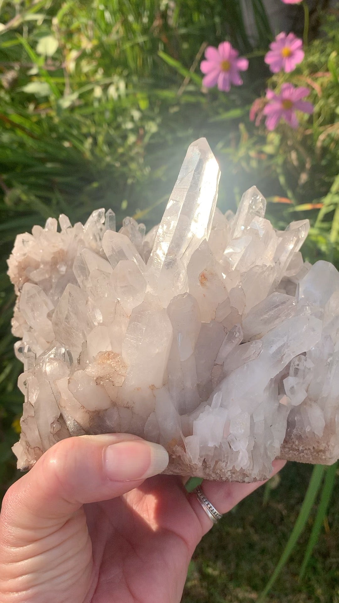 Lemurian Quartz Cluster