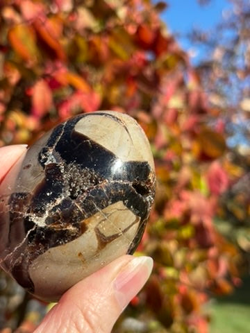 Septarian Druzy Dragon Egg - Madagascar