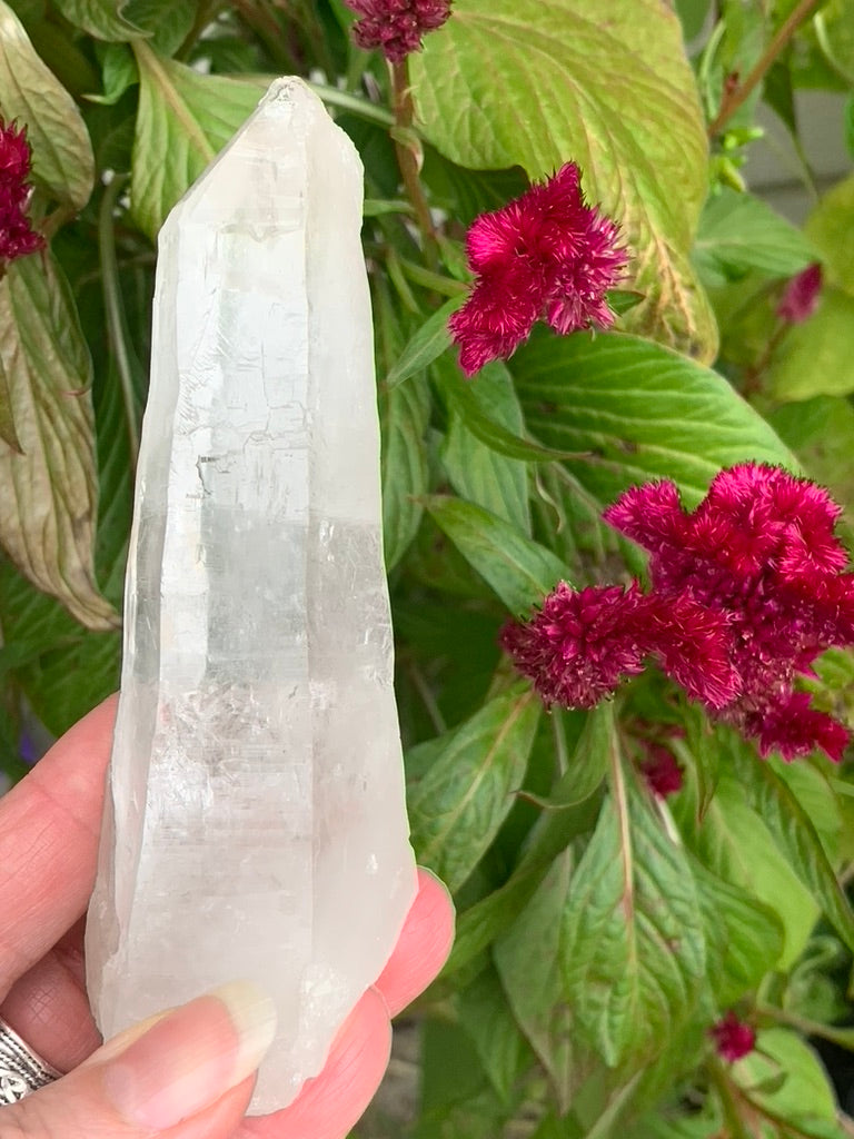 Lemurian Quartz Point