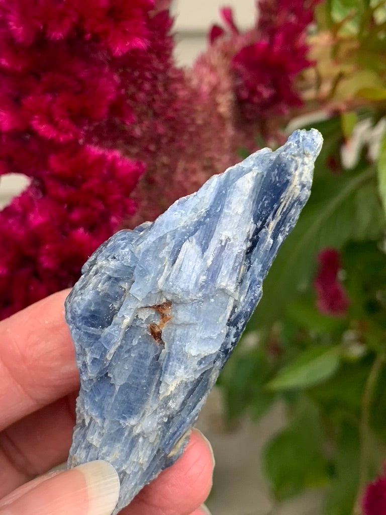 Blue Kyanite with Quartz and Garnet Inclusions natural - Brazil