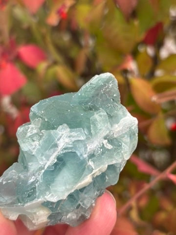Fluorite - Mexico