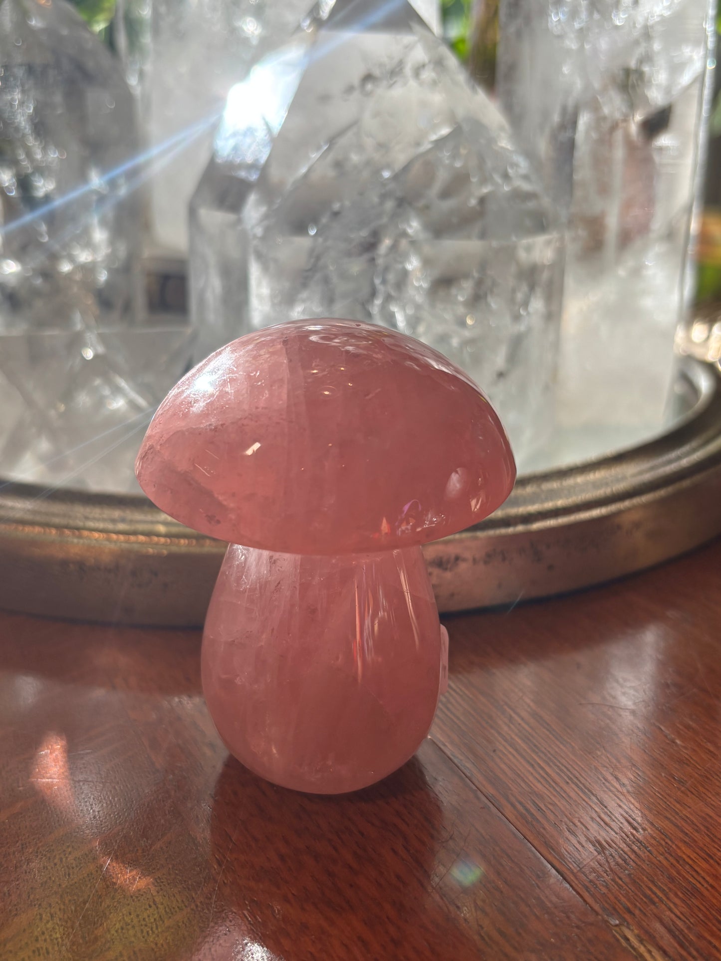 Rose Quartz - Mushroom | Madagascar