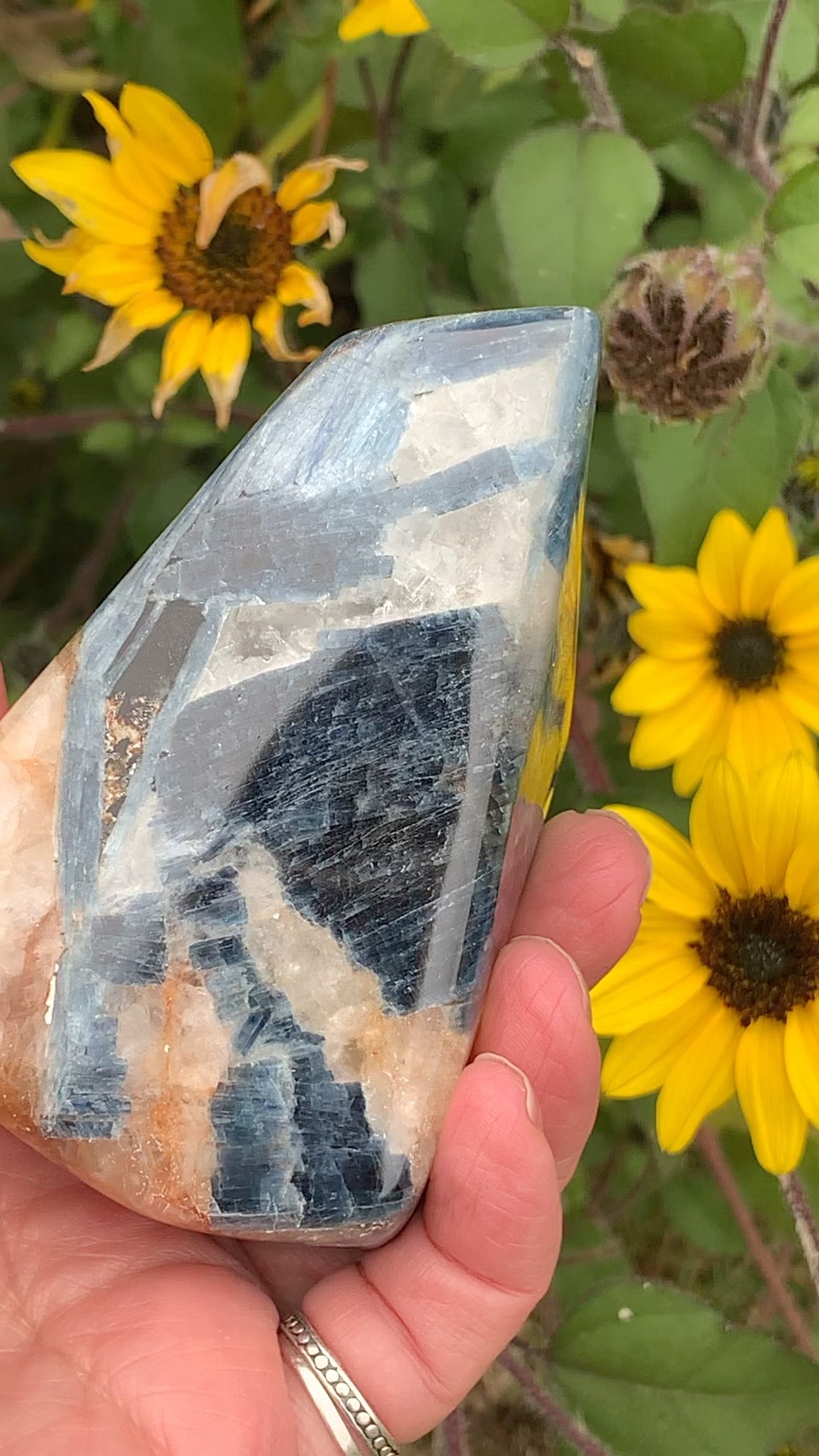 Blue  Kyanite with Quartz Free Form - India