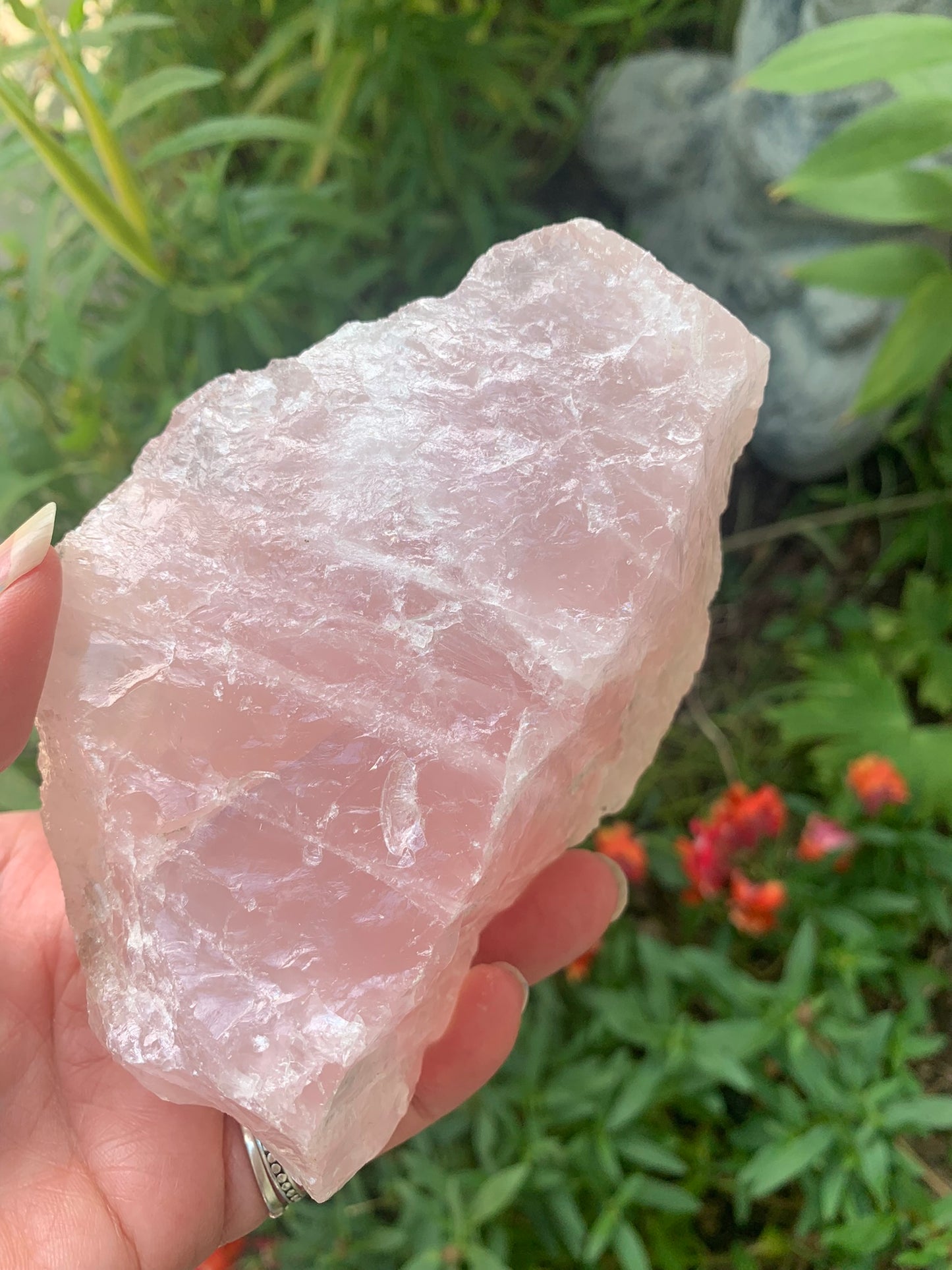 Rose Quartz Natural