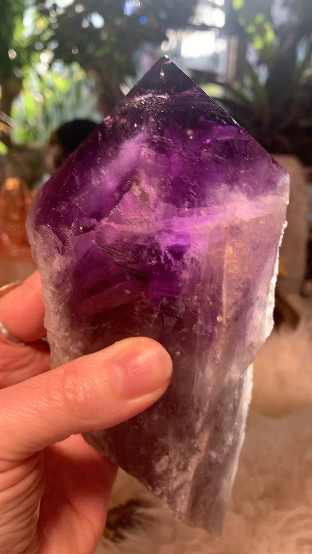 Amethyst Root Point - Brazil