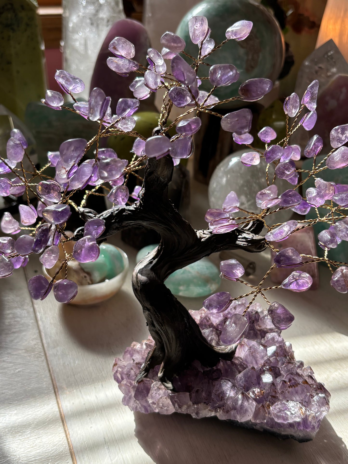 Amethyst Tree on Cluster - Medium - Brazil