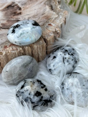 Rainbow Moonstone - Palm Stone | India