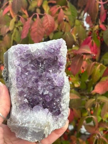 Amethyst Cluster