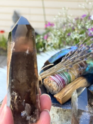 Smokey Quartz with Garden and Rutile