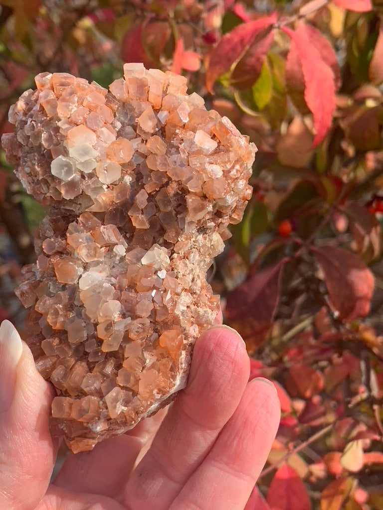 Star Aragonite Cluster