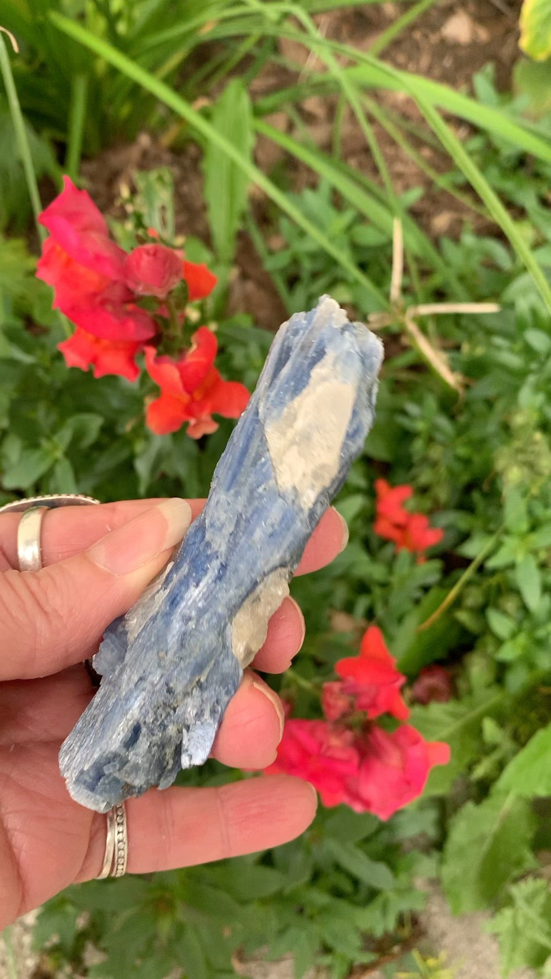 Blue Kyanite with Quartz natural - Brazil