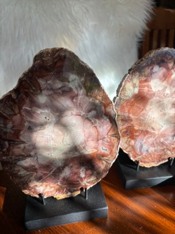 Petrified Wood charging plate set - Madagascar