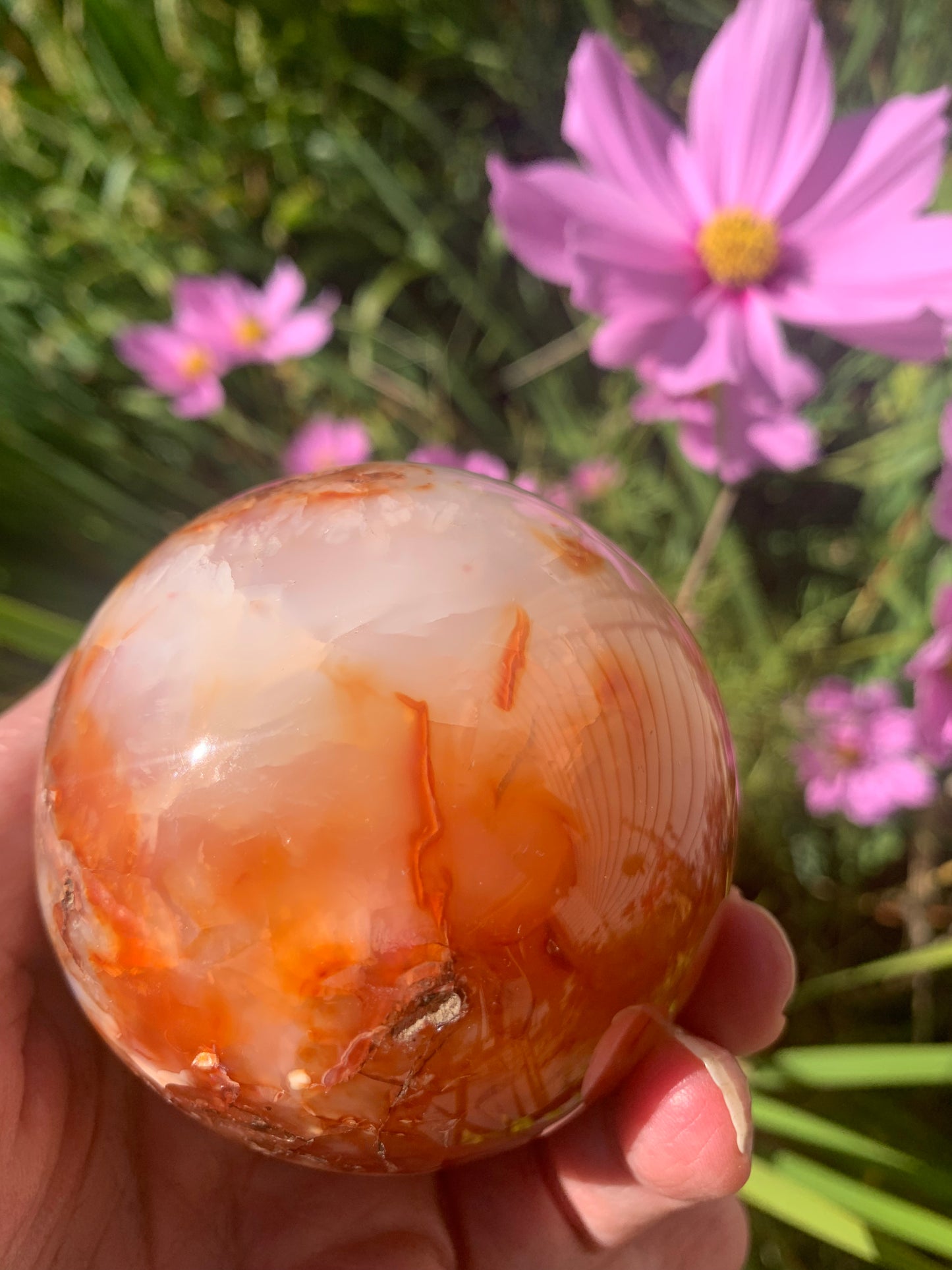 Carnelian Sphere - Madagascar