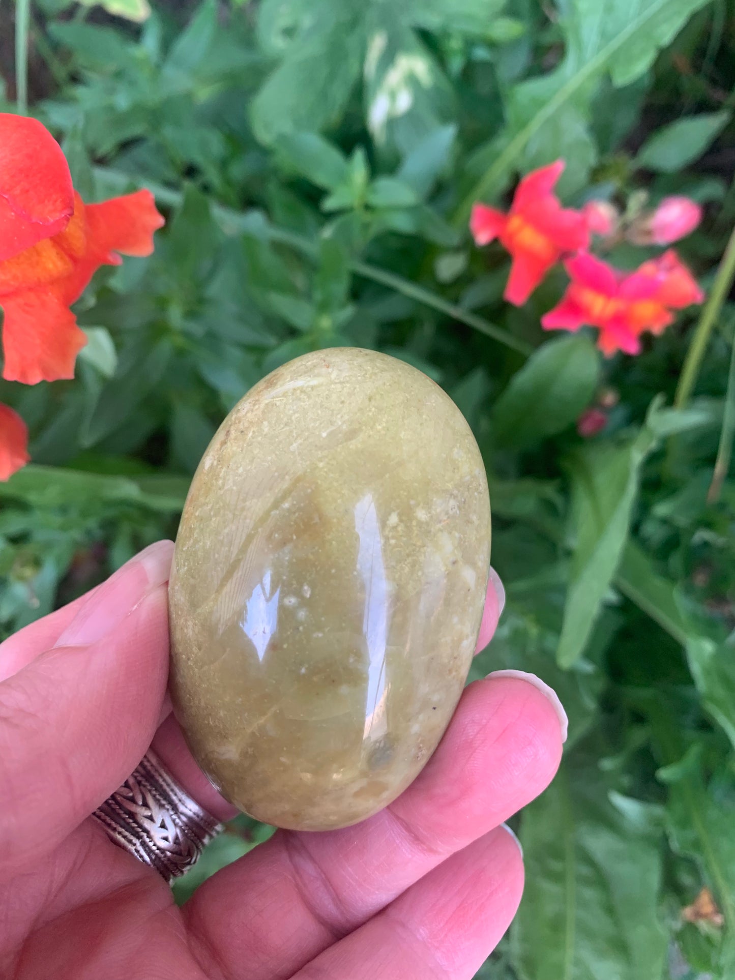 Green Opal Palm Stone