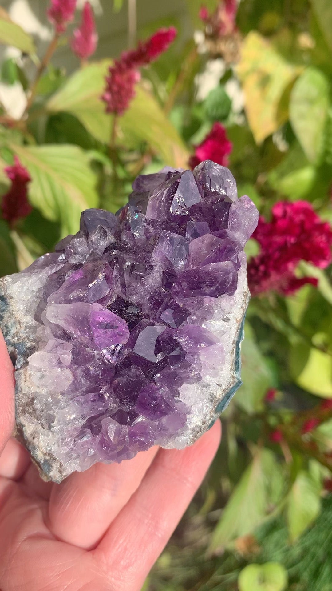 Amethyst Cluster