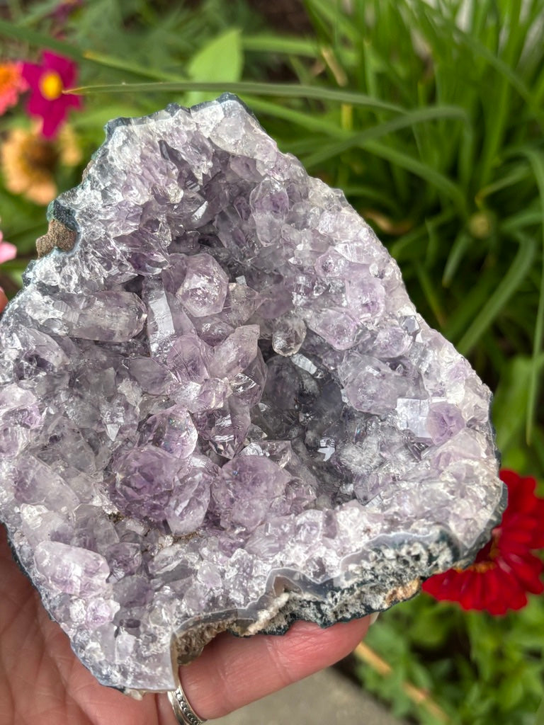 Amethyst Cluster | Brazil