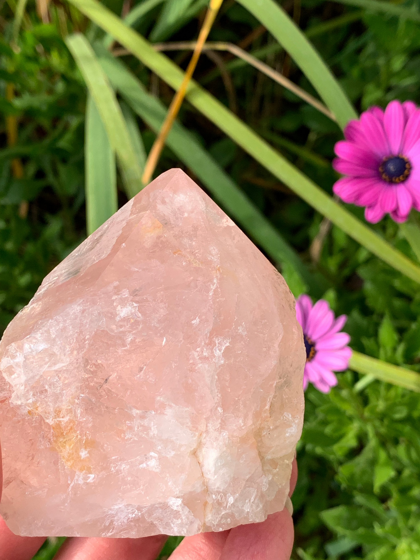 Rose Quartz Point with Golden Healer Inclusions