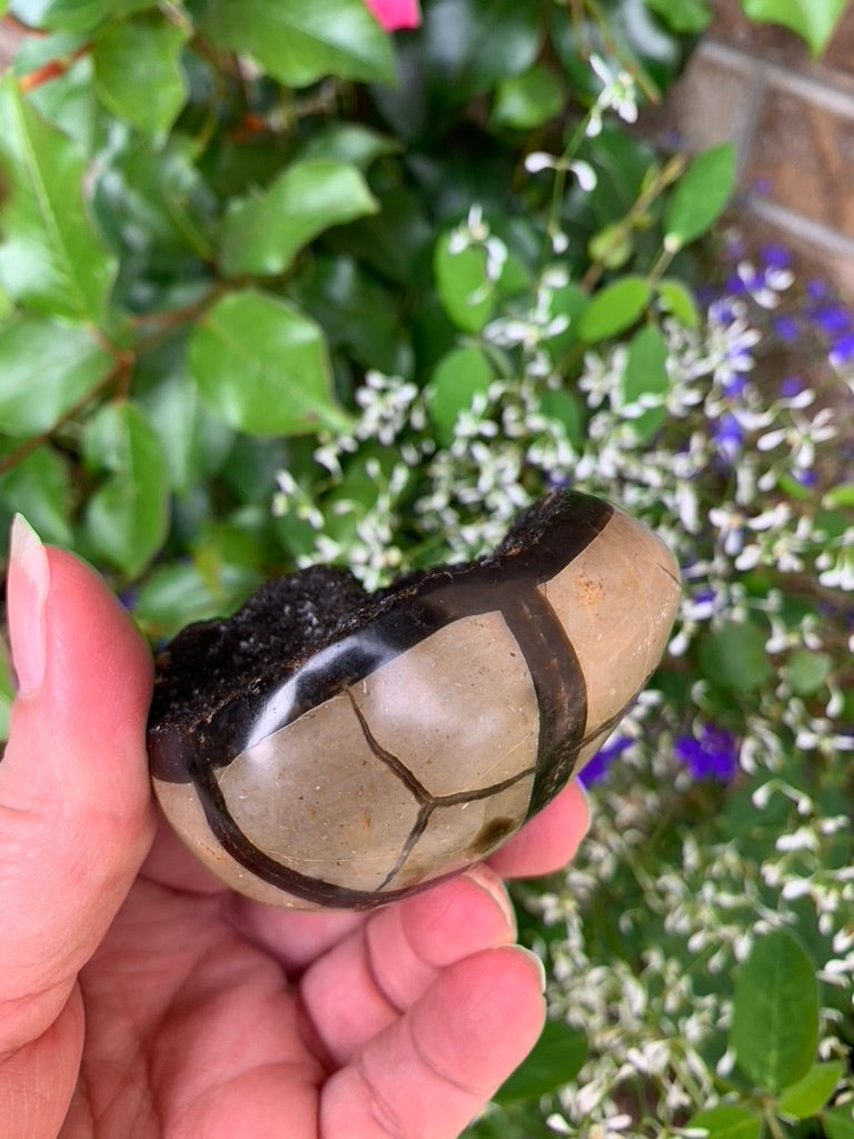 Septarian Druzy Dragon Egg - Madagascar