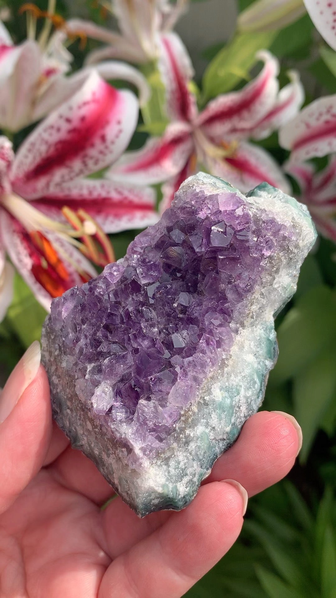 Amethyst Cluster