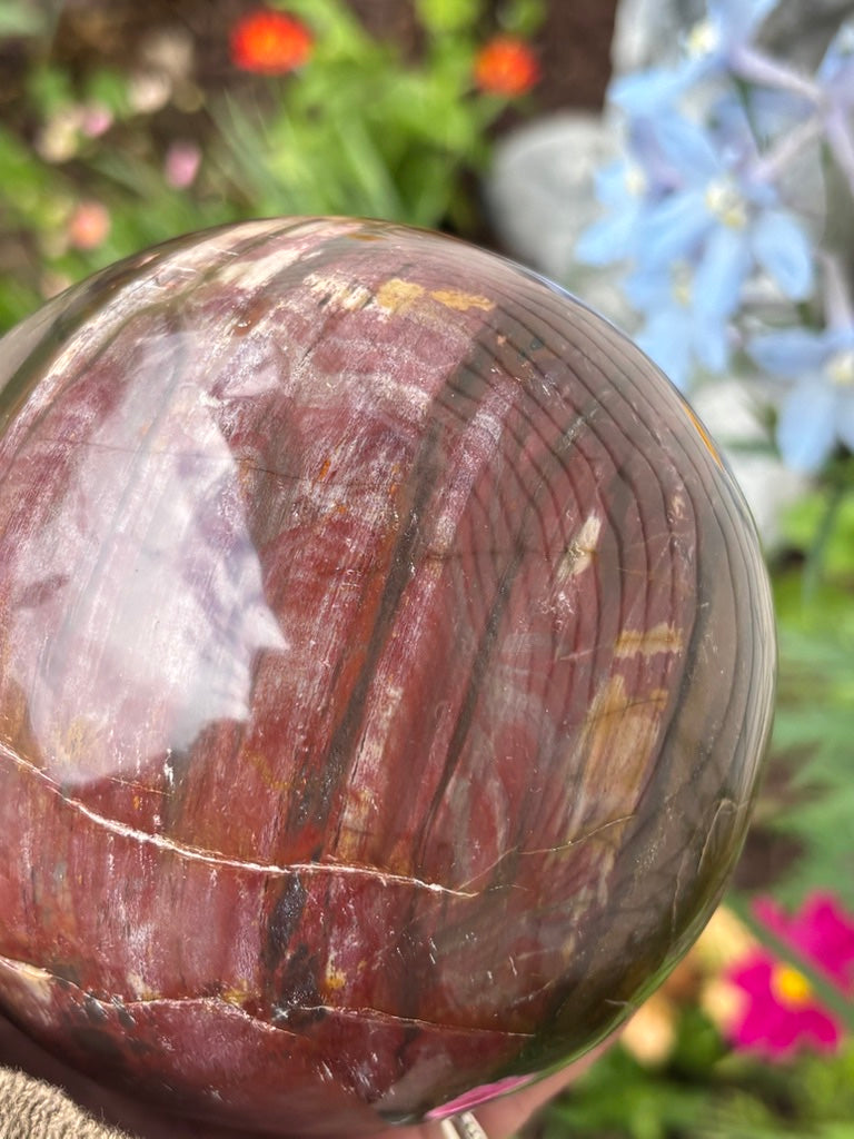 Petrified Wood Sphere - Madagascar