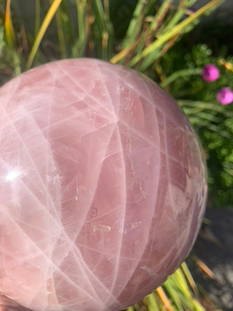 Rose Quartz Sphere - Madagascar - XXX Large