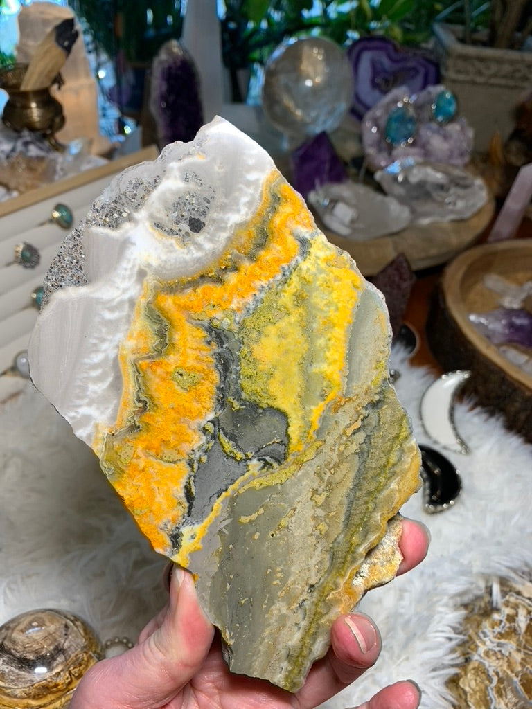 Bumble Bee Jasper charging plate