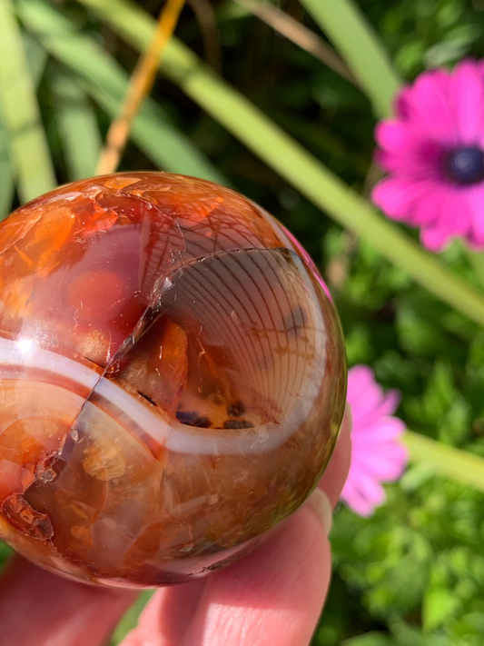 Carnelian Sphere - Madagascar