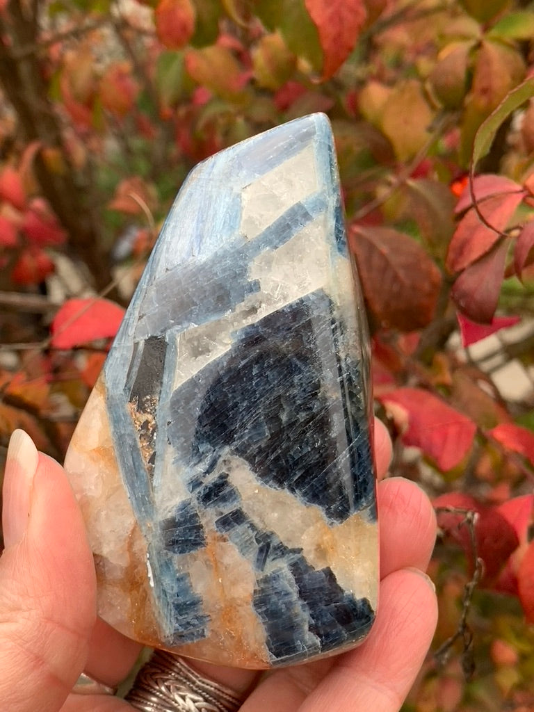 Blue  Kyanite with Quartz Free Form - India