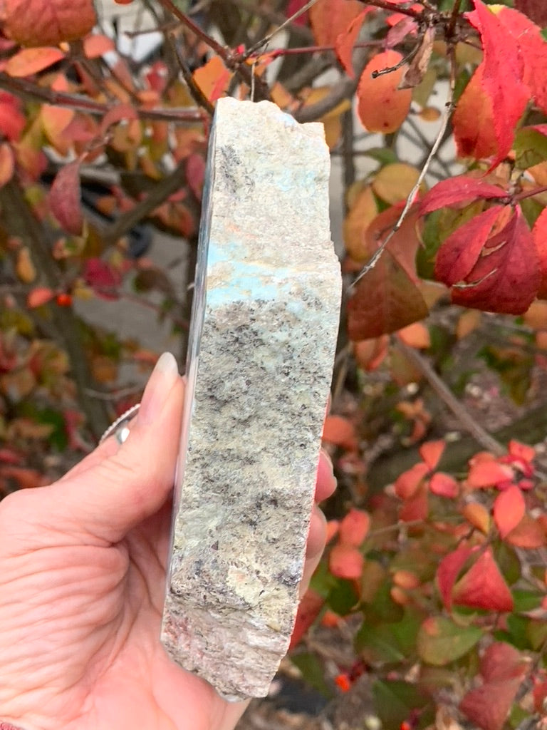 Larimar Slice - Polished both sides