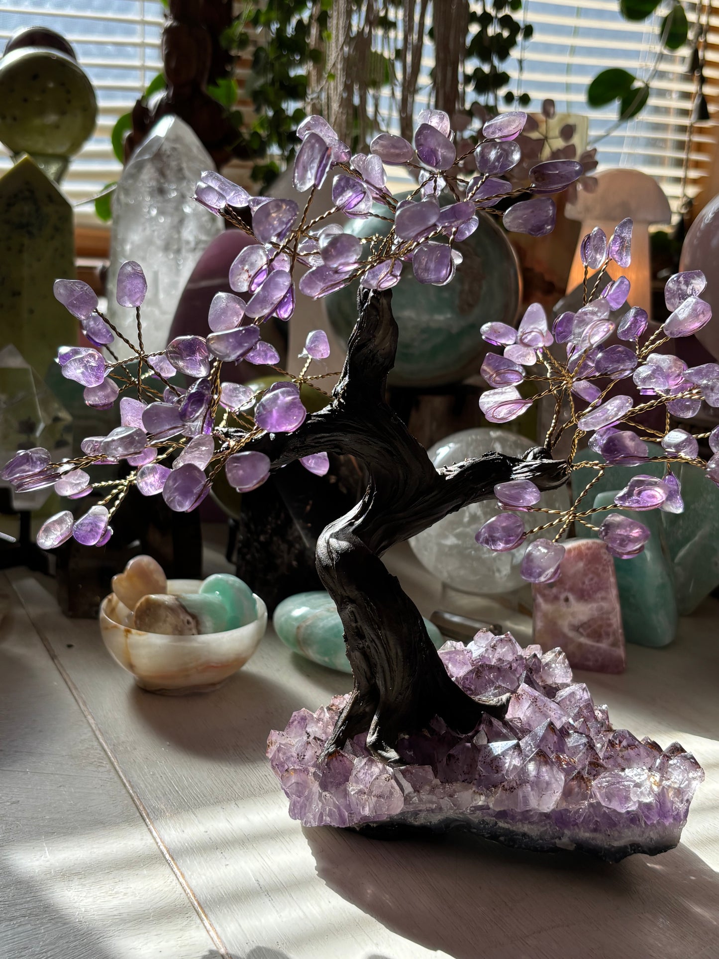 Amethyst Tree on Cluster - Medium - Brazil