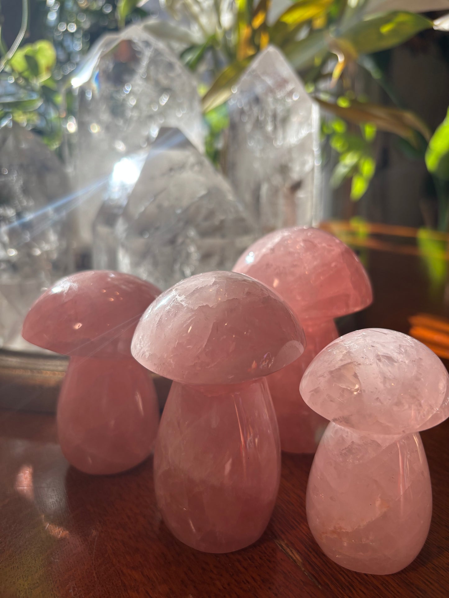 Rose Quartz - Mushroom | Madagascar