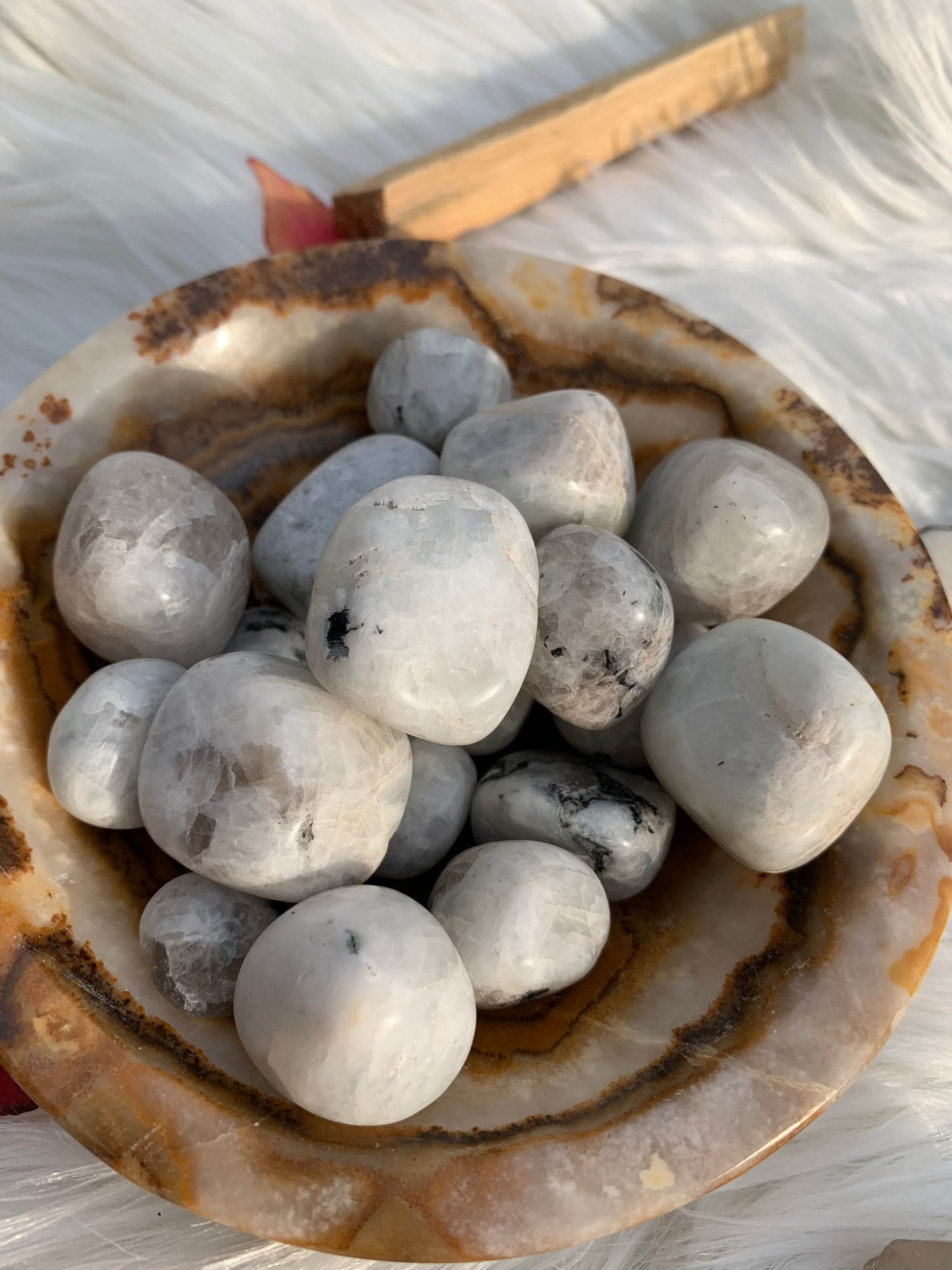 Rainbow Moonstone - Tumble - India