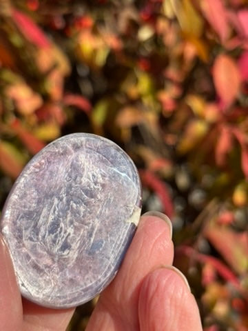 Gem Lepidolite - Palm Stone
