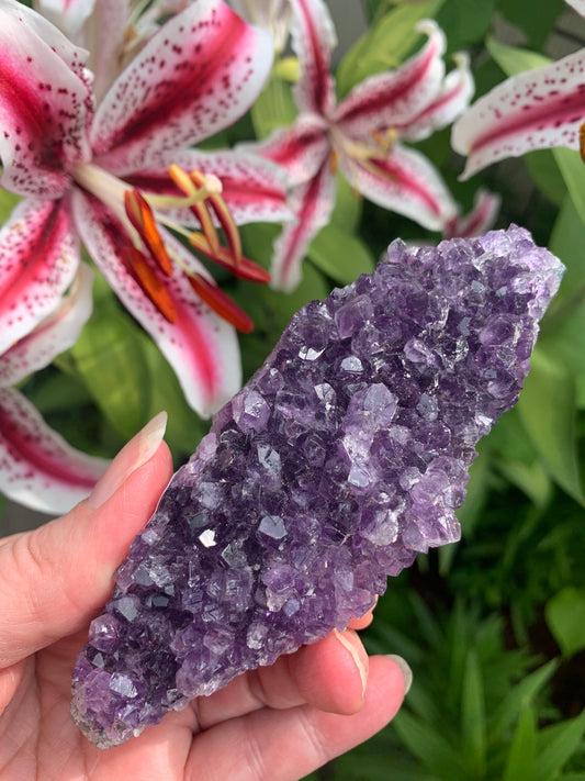 Amethyst Cluster