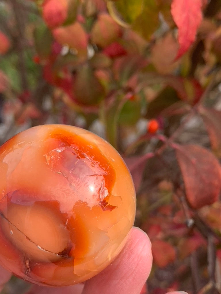 Carnelian Sphere - Madagascar