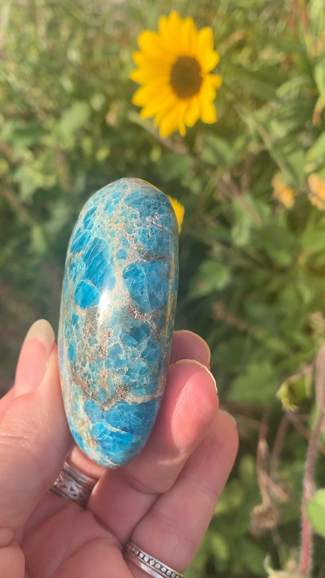 Blue Apatite Palm Stone