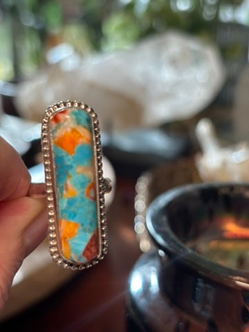 Spiny Oyster and Turquoise Rings