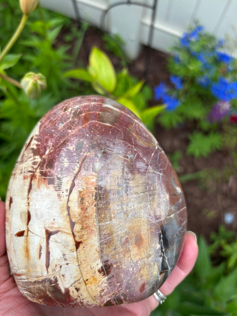 Petrified Wood - Free Form - Madagascar