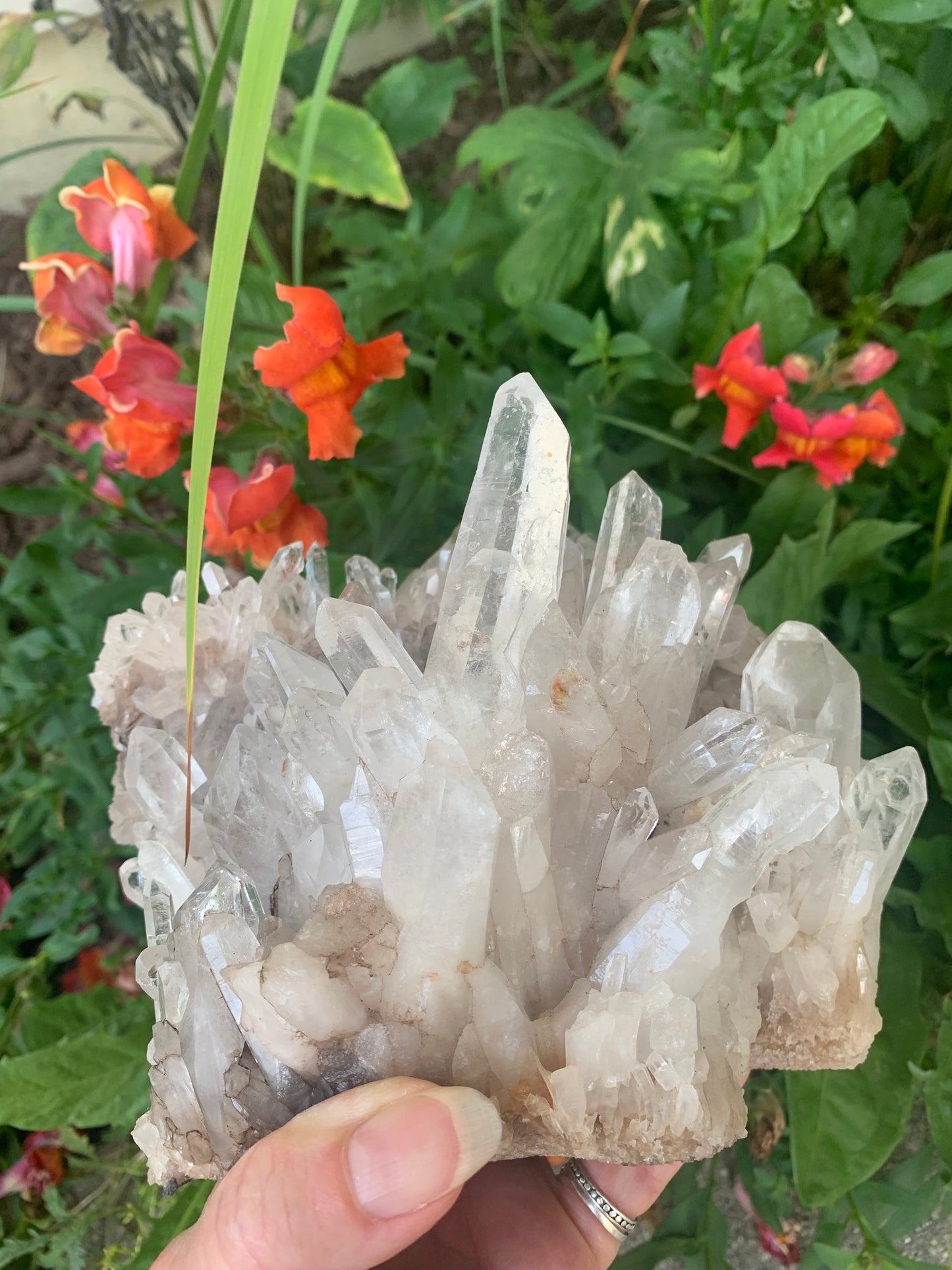 Lemurian Quartz Cluster