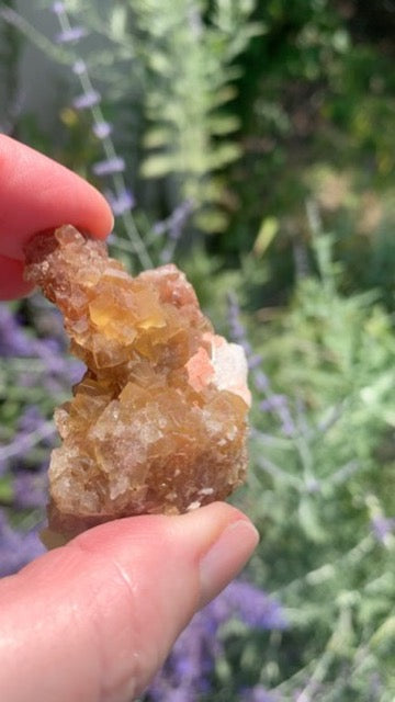 Cubic Yellow Fluorite cluster