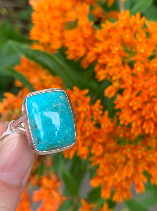 Turquoise Ring size 8